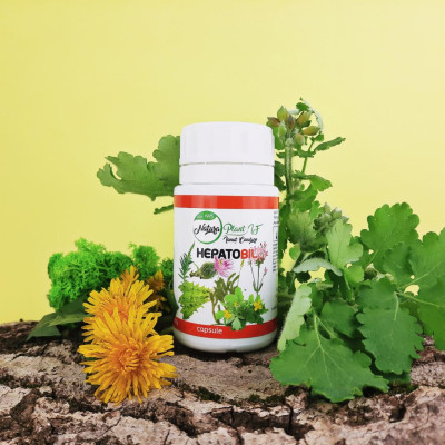 Capsule Hepato Bil 90cps