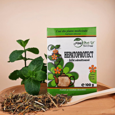 Ceai Hepatoprotect- bilă sănătoasă plicuri 15 pliculeţe - Natura Plant