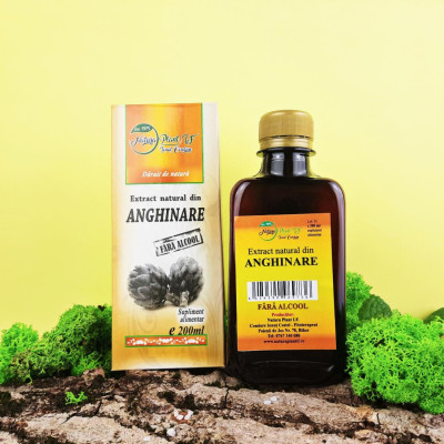 Extract natural din Anghinare, 200ml - Natura Plant